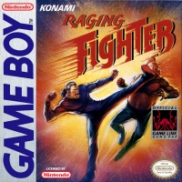 Game Boy - Raging Fighter Box Art Front