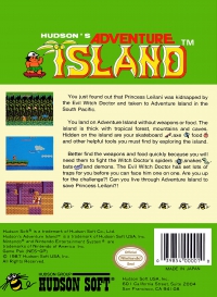 NES - Adventure Island Box Art Back