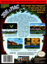 NES - Joe and Mac Box Art Back