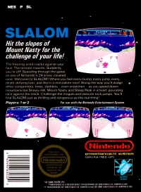 NES - Slalom Box Art Back