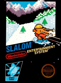 NES - Slalom Box Art Front