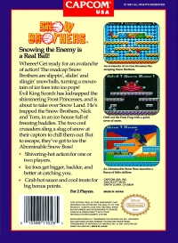 NES - Snow Brothers Box Art Back