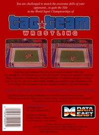 NES - Tag Team Wrestling Box Art Back