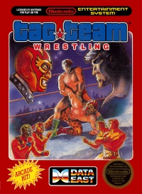 NES - Tag Team Wrestling Box Art Front