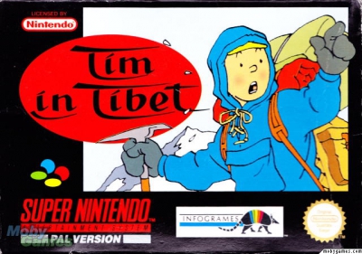 SNES - Tintin in Tibet Box Art Front