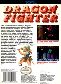 NES - Dragon Fighter Box Art Back